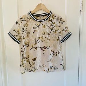 Sparkle butterfly top by a new day